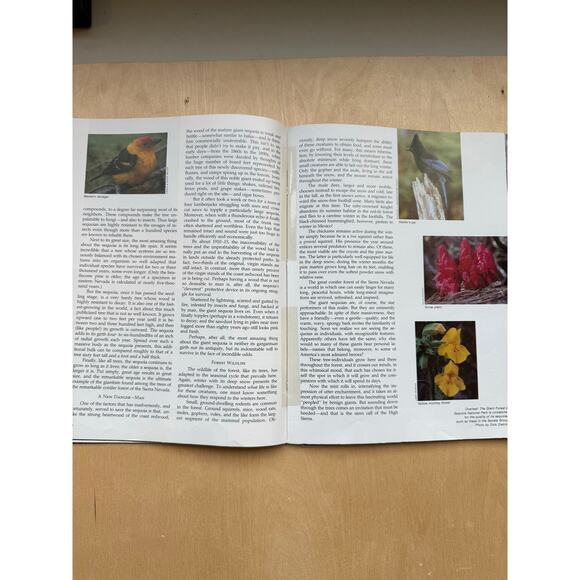 Lot of 7 The Story Behind the Scenery Series Paperbacks 1980s American West - Picture 7 of 8